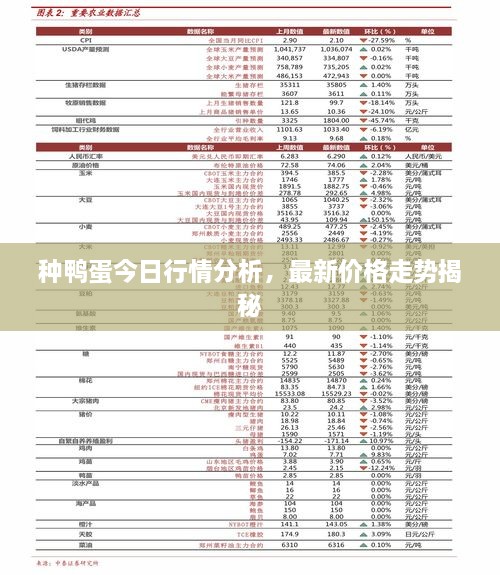種鴨蛋今日行情分析，最新價格走勢揭秘