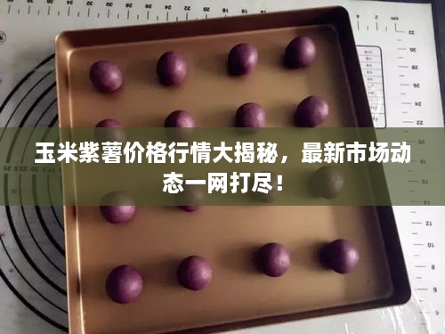 玉米紫薯價(jià)格行情大揭秘，最新市場(chǎng)動(dòng)態(tài)一網(wǎng)打盡！