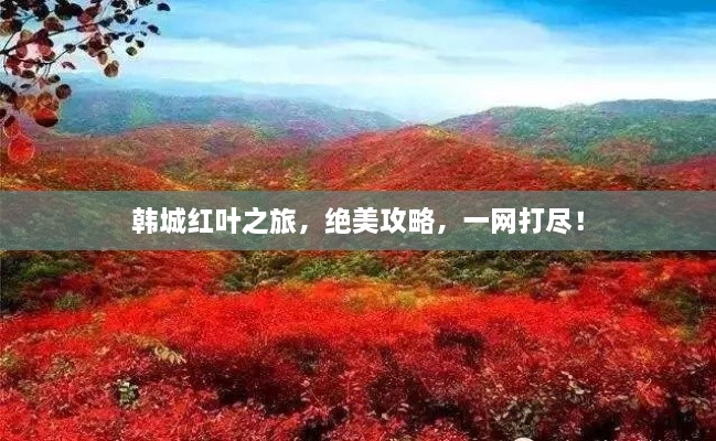 韓城紅葉之旅，絕美攻略，一網(wǎng)打盡！