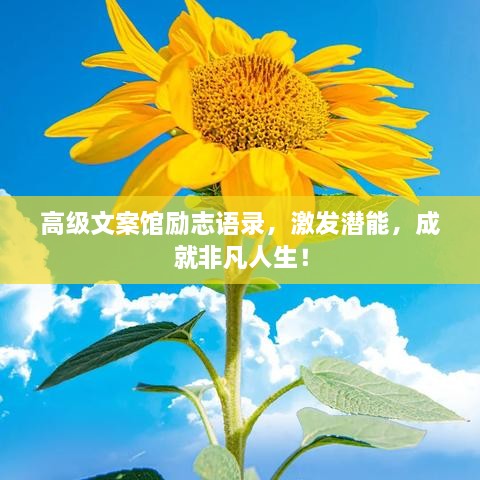 高級(jí)文案館勵(lì)志語(yǔ)錄，激發(fā)潛能，成就非凡人生！
