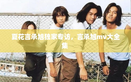 夏花言承旭獨家專訪，言承旭mv大全集 