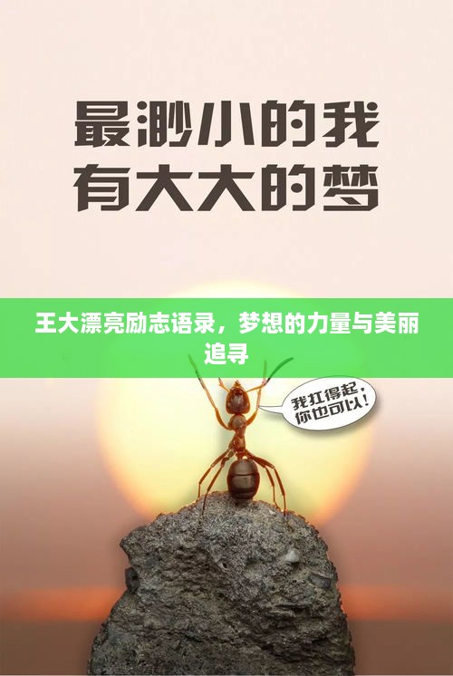 王大漂亮勵(lì)志語(yǔ)錄，夢(mèng)想的力量與美麗追尋