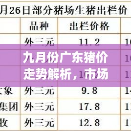 九月份廣東豬價走勢解析，市場行情、價格變動一網(wǎng)打盡