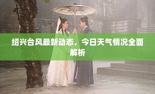 紹興臺風最新動態(tài)，今日天氣情況全面解析