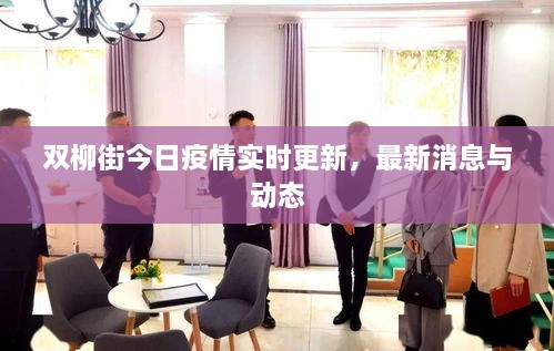 雙柳街今日疫情實(shí)時(shí)更新，最新消息與動(dòng)態(tài)
