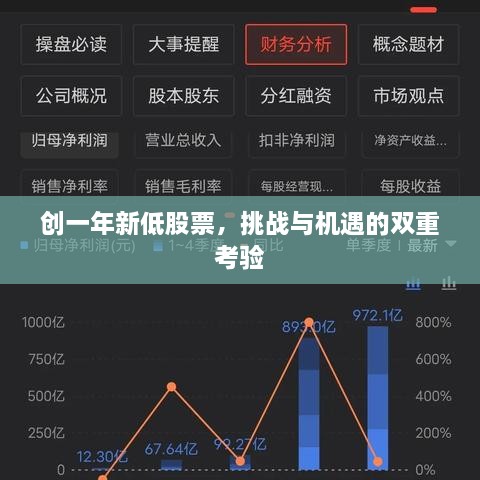 創(chuàng)一年新低股票，挑戰(zhàn)與機(jī)遇的雙重考驗(yàn)