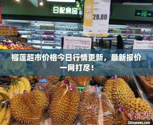 榴蓮超市價格今日行情更新，最新報價一網打盡！