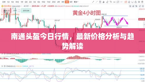 南通頭盔今日行情，最新價(jià)格分析與趨勢(shì)解讀