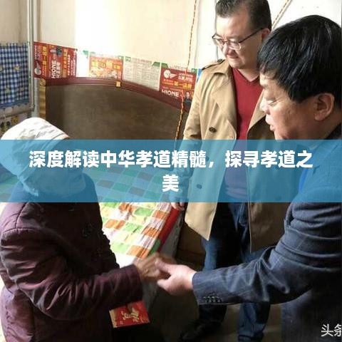 深度解讀中華孝道精髓，探尋孝道之美