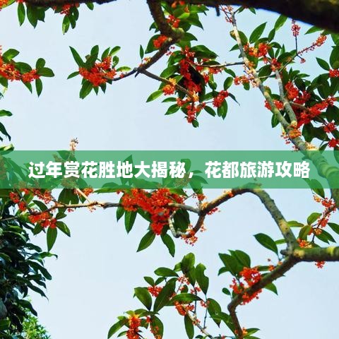 過年賞花勝地大揭秘，花都旅游攻略