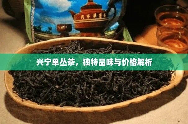 興寧單叢茶，獨特品味與價格解析