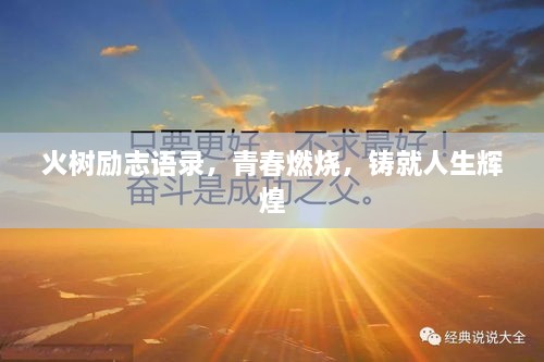 火樹勵志語錄，青春燃燒，鑄就人生輝煌