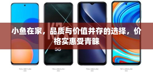 小魚(yú)在家，品質(zhì)與價(jià)值并存的選擇，價(jià)格實(shí)惠受青睞