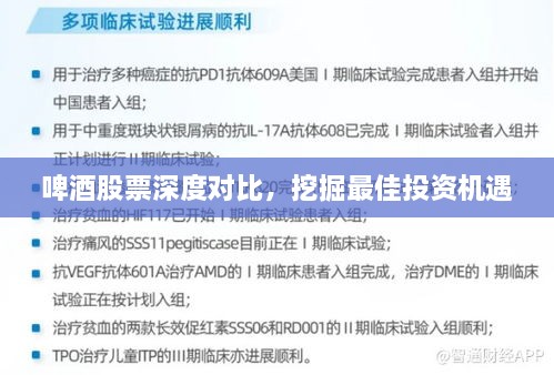 啤酒股票深度對比，挖掘最佳投資機(jī)遇