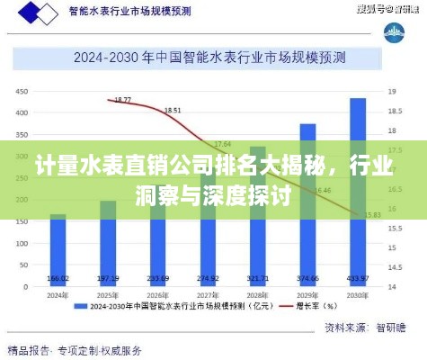 計量水表直銷公司排名大揭秘，行業(yè)洞察與深度探討