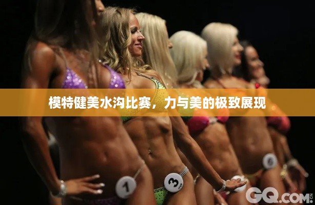 模特健美水溝比賽，力與美的極致展現(xiàn)