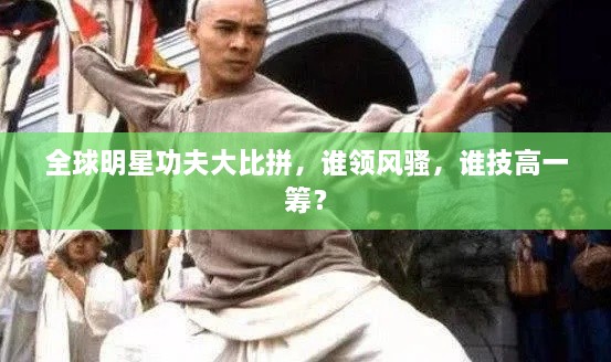 全球明星功夫大比拼，誰領(lǐng)風(fēng)騷，誰技高一籌？