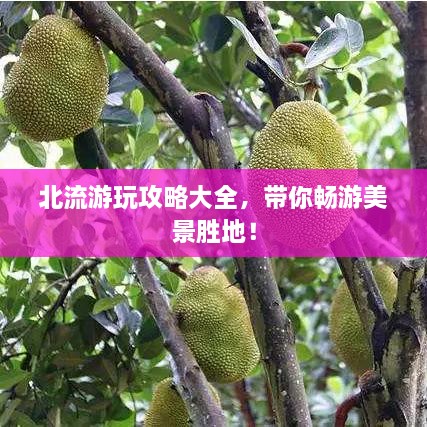北流游玩攻略大全，帶你暢游美景勝地！