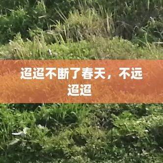 迢迢不斷了春天，不遠(yuǎn)迢迢 
