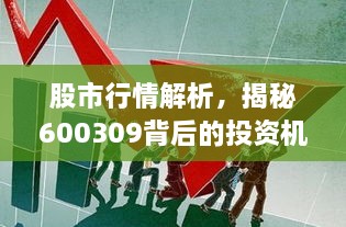 股市行情解析，揭秘600309背后的投資機(jī)會(huì)與挑戰(zhàn)
