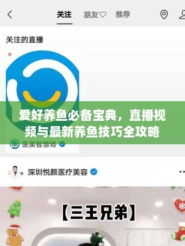 愛好養(yǎng)魚必備寶典，直播視頻與最新養(yǎng)魚技巧全攻略
