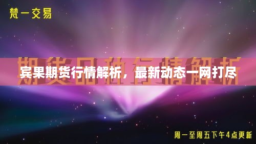 賓果期貨行情解析，最新動(dòng)態(tài)一網(wǎng)打盡