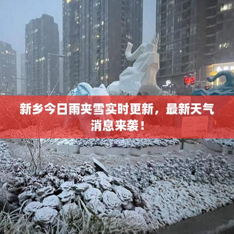新鄉(xiāng)今日雨夾雪實時更新，最新天氣消息來襲！