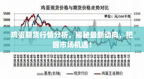 雞蛋期貨行情分析，揭秘最新動(dòng)向，把握市場(chǎng)機(jī)遇！
