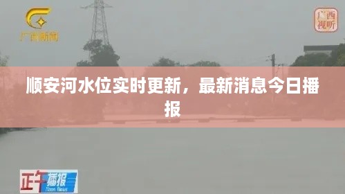順安河水位實時更新，最新消息今日播報