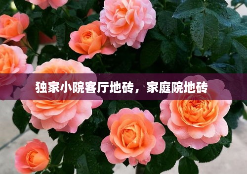 獨家小院客廳地磚，家庭院地磚 