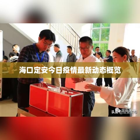 ?？诙ò步袢找咔樽钚聞討B(tài)概覽