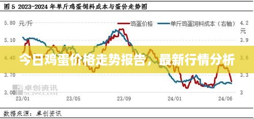 今日雞蛋價格走勢報告，最新行情分析