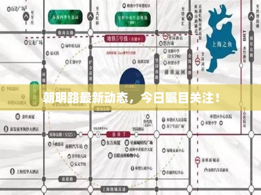 朝明路最新動(dòng)態(tài)，今日矚目關(guān)注！