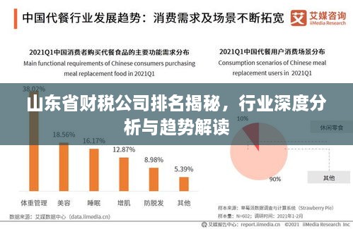 山東省財(cái)稅公司排名揭秘，行業(yè)深度分析與趨勢解讀