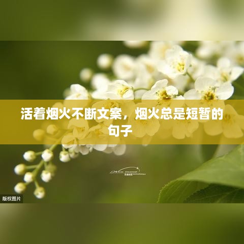 活著煙火不斷文案，煙火總是短暫的句子 