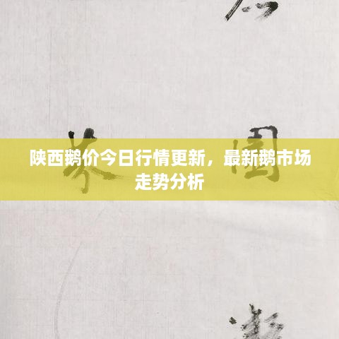 陜西鵝價今日行情更新，最新鵝市場走勢分析