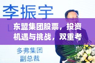 東盟集團(tuán)股票，投資機(jī)遇與挑戰(zhàn)，雙重考量不容錯(cuò)過(guò)