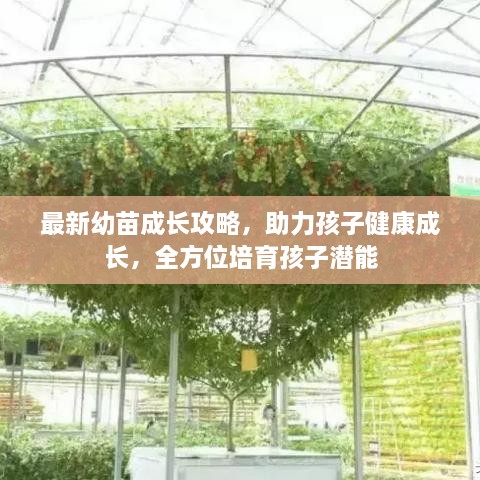 最新幼苗成長攻略，助力孩子健康成長，全方位培育孩子潛能