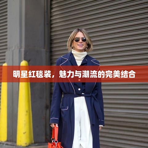 明星紅毯裝，魅力與潮流的完美結(jié)合