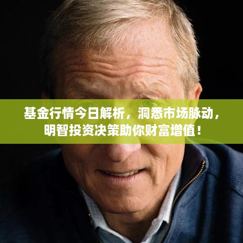 基金行情今日解析，洞悉市場(chǎng)脈動(dòng)，明智投資決策助你財(cái)富增值！