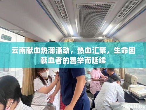 云南獻(xiàn)血熱潮涌動，熱血匯聚，生命因獻(xiàn)血者的善舉而延續(xù)