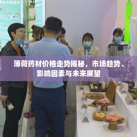 薄荷藥材價(jià)格走勢(shì)揭秘，市場(chǎng)趨勢(shì)、影響因素與未來展望