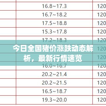 今日全國豬價漲跌動態(tài)解析，最新行情速覽