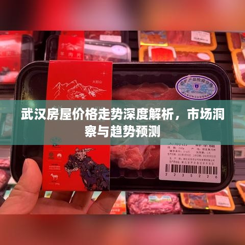 武漢房屋價(jià)格走勢(shì)深度解析，市場(chǎng)洞察與趨勢(shì)預(yù)測(cè)