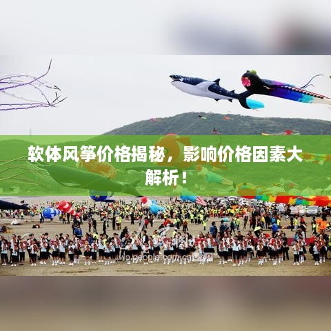 軟體風(fēng)箏價(jià)格揭秘，影響價(jià)格因素大解析！