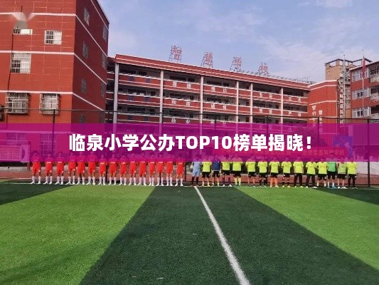 臨泉小學公辦TOP10榜單揭曉！