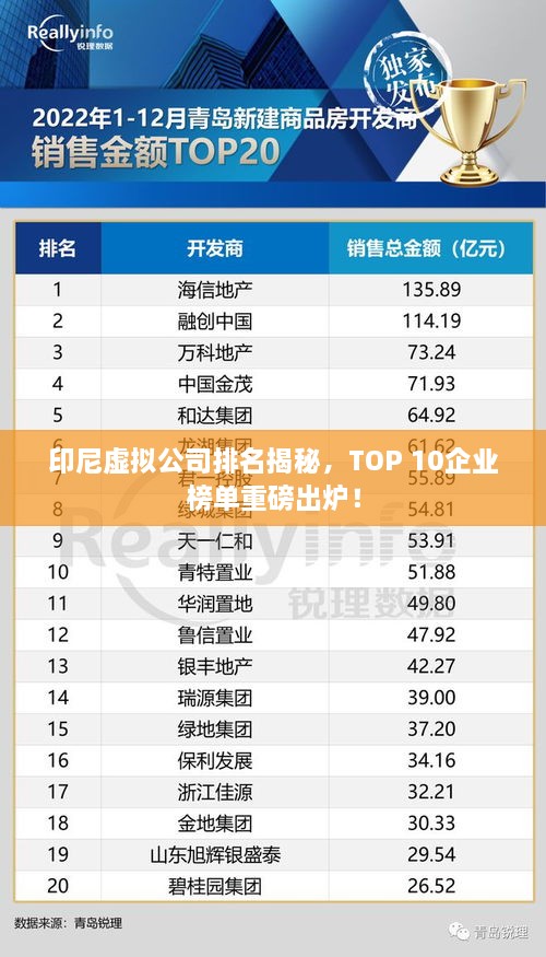 印尼虛擬公司排名揭秘，TOP 10企業(yè)榜單重磅出爐！