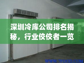 深圳冷庫公司排名揭秘，行業(yè)佼佼者一覽無余