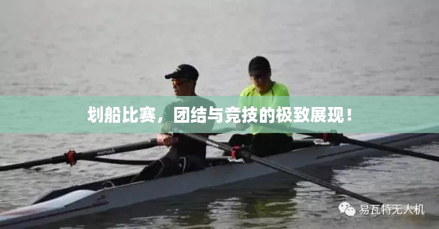 劃船比賽，團結(jié)與競技的極致展現(xiàn)！
