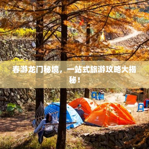 春游龍門秘境，一站式旅游攻略大揭秘！